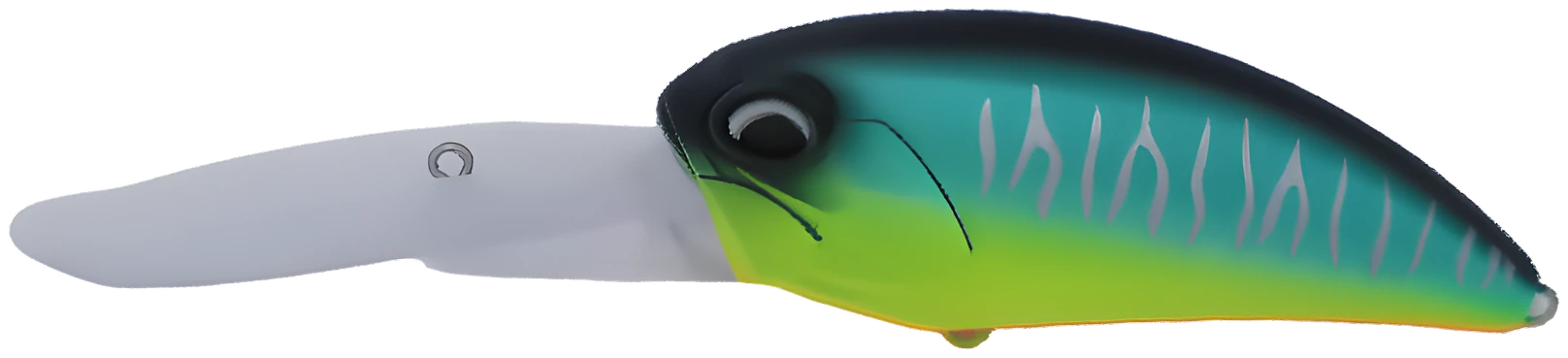 04 · Argent / Turquoise