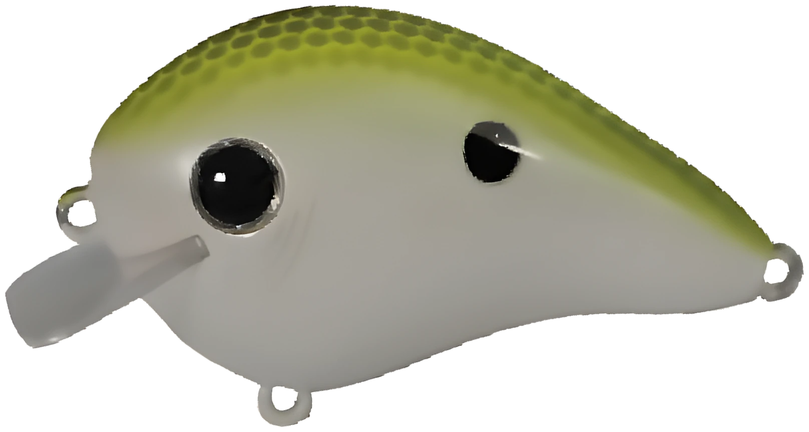 07 · Argent / Olive