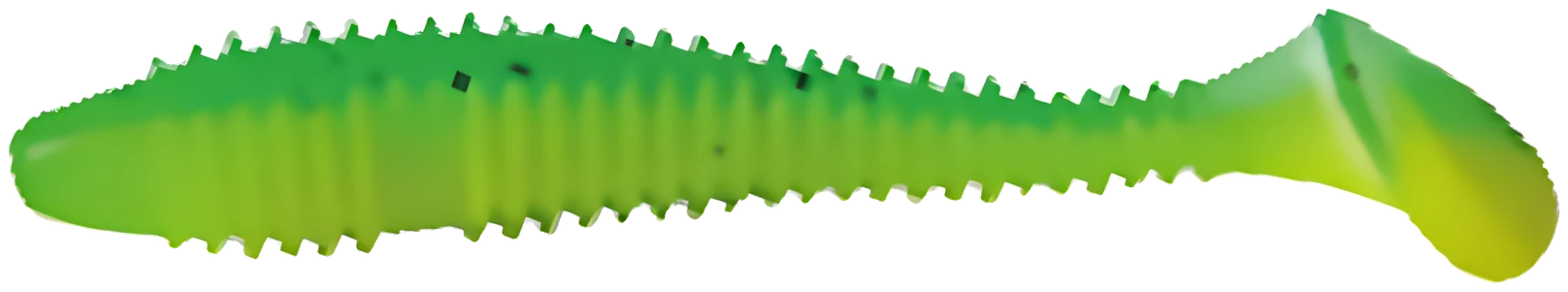 02 · Olive / Vert