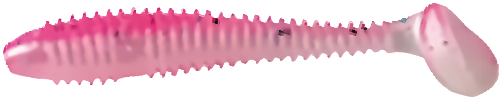 06 · Rose / Argent