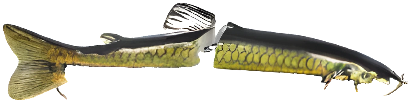 07 · Olive / Or